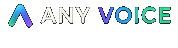 Any Voice